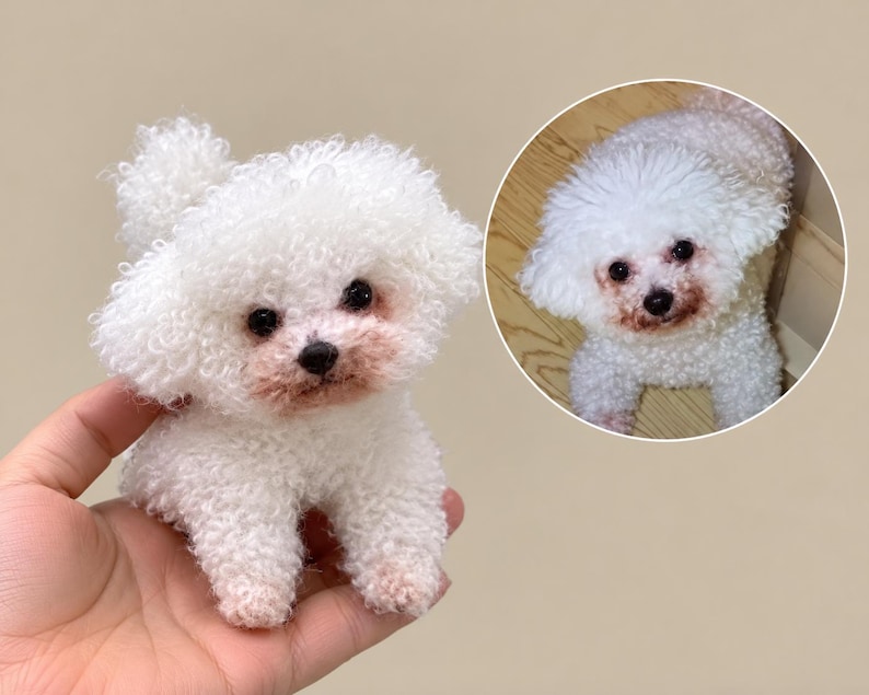 May include: A small, white, curly-haired needle-felted dog figurine with dark eyes and a black nose. The figurine is modelled after the white curly-haired dog shown in the circular inset photo, which features a similar dog with reddish-brown fur around its mouth.