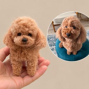 May include: A small, handcrafted needle-felted figurine of a brown poodle with curly, textured wool fibres. The miniature dog features dark eyes and a black nose, mirroring the appearance of the real brown poodle shown in the circular inset.