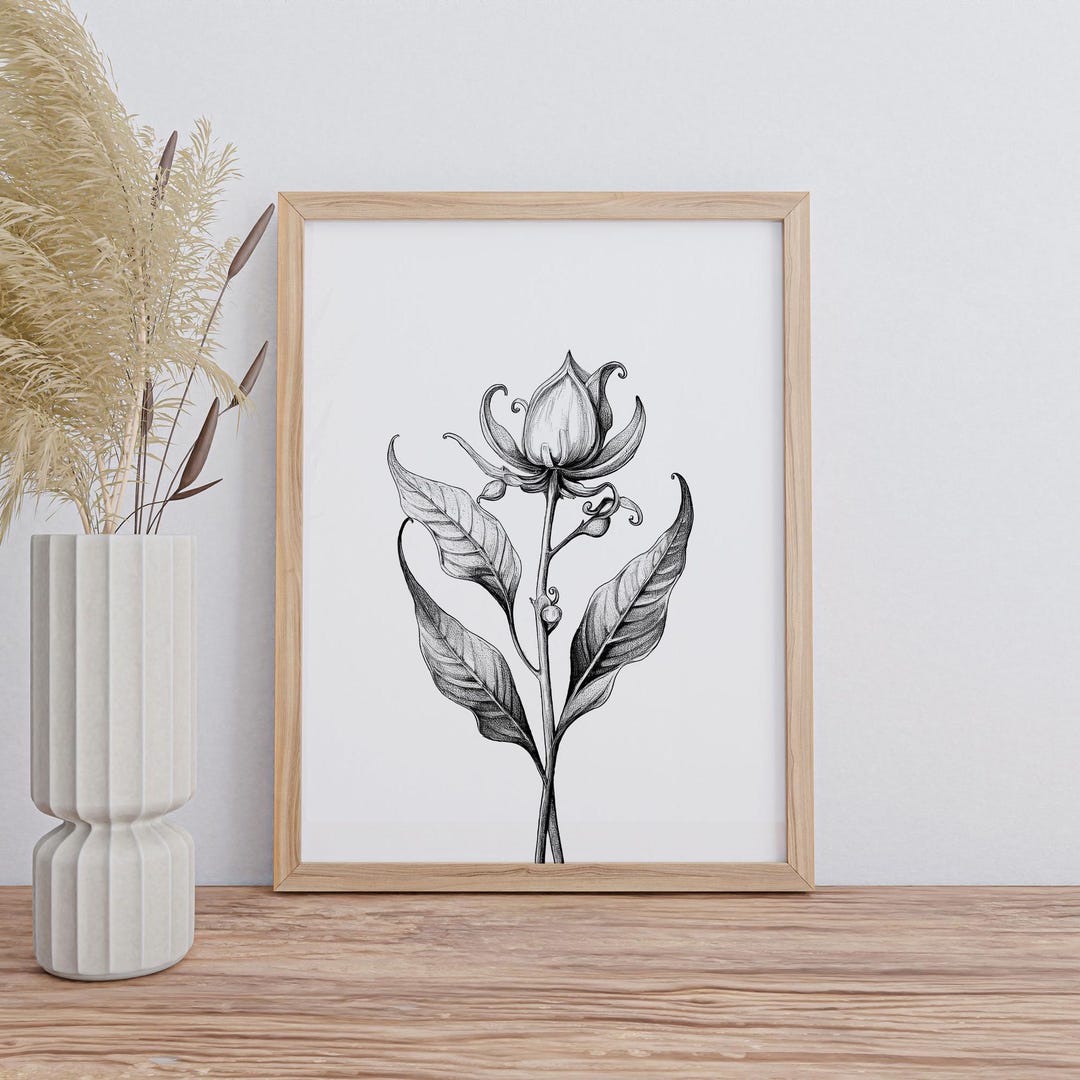 Surrealist Floral Pen and Ink Drawing, Minimalist Black and White Line ...