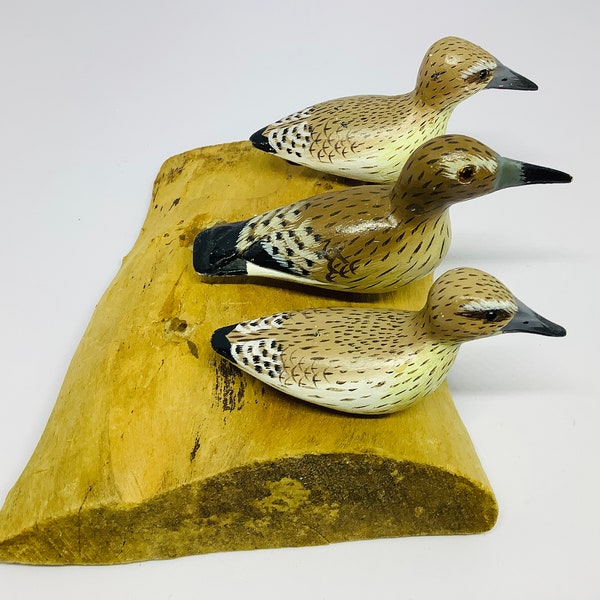 Carved Shore Birds Etsy
