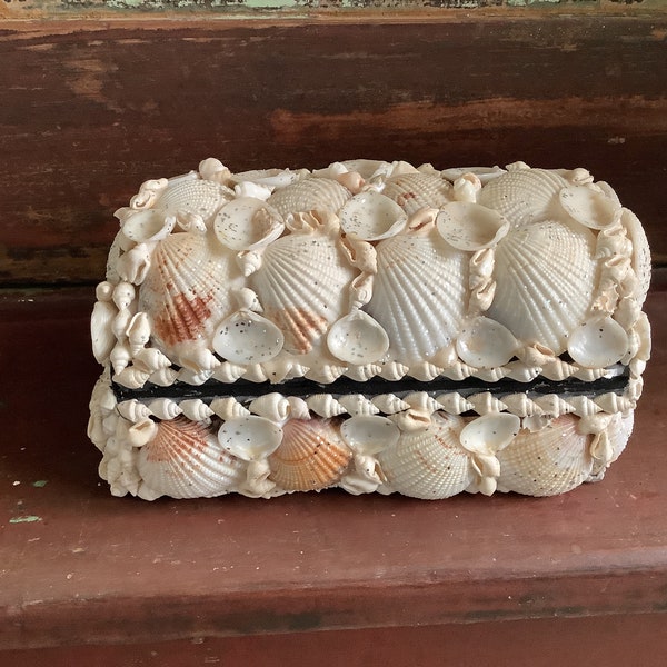 Seashell Jewelry Box Etsy