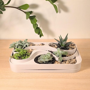 Könnte beinhalten: Ein weißer Mehrfach-Pflanztopf, gefüllt mit verschiedenen Sukkulenten und kleinen Kieselsteinen. Der Pflanztopf hat ein einzigartiges, wellenartiges Design mit mehreren einzelnen Fächern. Grüne Pflanzen und eine Ranke sind sichtbar.