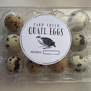 May include: A clear plastic container holding nine speckled quail eggs. A circular label reads "Farm Fresh Quail Eggs" with a bird illustration. The eggs are various shades of brown and tan with dark brown spots.