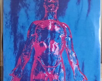 Nirvana Silver/Dive Vinile 45 giri