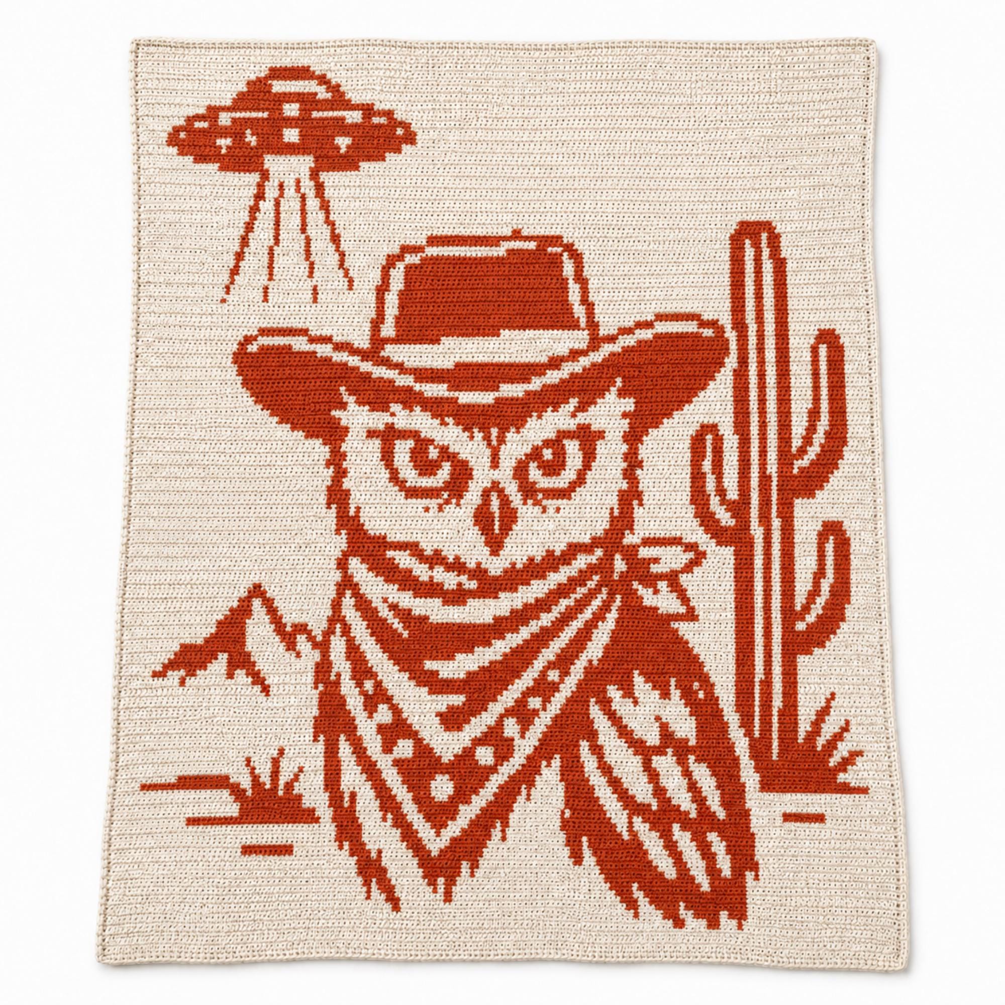 30 Owl Blanket Crochet Patterns for Cozy Gifting and Woodland Charm 21 Sheriff of Area 51 Owl Mosaic Blanket