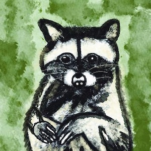 Puede incluir: Ilustración en acuarela de un mapache con máscara, orejas y rayas negras, y cara y pecho blancos. El mapache está sentado con las patas juntas, sobre un fondo verde texturizado.