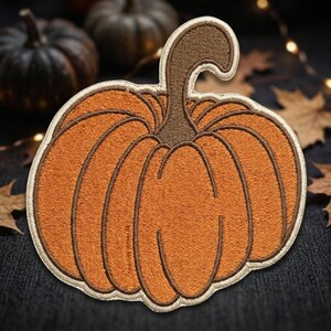 May include: An embroidered patch shaped like a pumpkin with orange thread for the body, dark brown thread for the stem and segment outlines, and a cream-colored border. The pumpkin features a curved stem and distinct vertical ribbed sections.