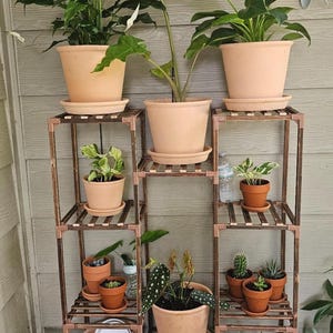 May include: A wooden plant stand with multiple shelves displays various potted plants. The plants include peace lilies, pothos, and cacti in terracotta pots. The stand is brown and set against a light gray wall.
