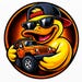 TheDuckDude