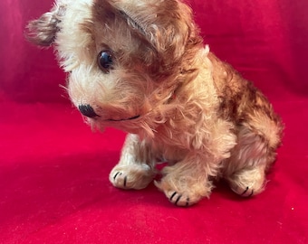 Perro Molly de Steiff: Cachorro de mohair vintage, juguete coleccionable (años 50)