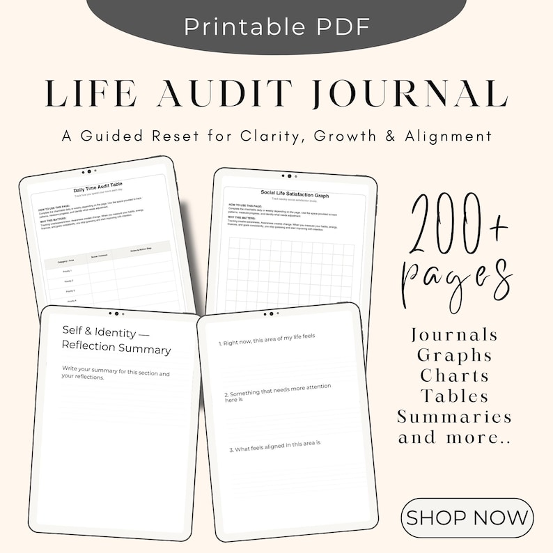 Life Audit Journal printable PDF mockup featuring over 200 pages of guided self-reflection worksheets, including daily time audit tables, satisfaction graphs, journal prompts, reflection summaries, charts, and planning pages for personal growth and clarity.