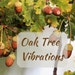 Awatar należący do OakTreeVibrations