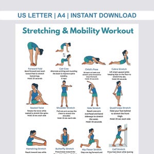 May include: A white printable workout guide titled "Stretching & Mobility Workout" featuring illustrations of different stretches. Exercises include Forward Fold, Cat-Cow, Child's Pose, and Cobra Stretch, with instructions and hold times. A4 size.