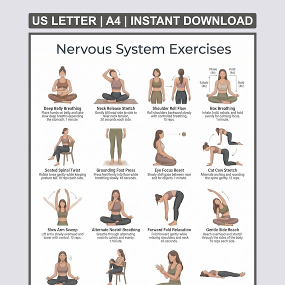 Nervous System Exercises Printable | Vagus Nerve Reset & Somatic Regulation Chart | Anxiety Relief Breathing and Grounding Routine PDF