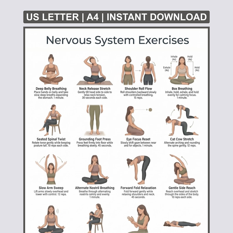 Puede incluir: Una gu&iacute;a imprimible titulada "Ejercicios del sistema nervioso" con ilustraciones de posturas de yoga. Los ejercicios incluyen respiraci&oacute;n abdominal profunda, estiramiento de cuello, flujo de rodillo de hombros y respiraci&oacute;n cuadrada. Descarga instant&aacute;nea.