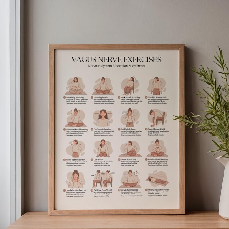 Relaxation Exercise Chart Vagus Nerve Exercises Printable PDF | Nervous System Reset & Somatic ...