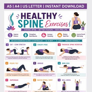 May include: A digital poster titled Healthy Spine Exercises featuring nine illustrated yoga and fitness poses. The chart includes instructions for cat-cow, child's pose, thoracic rotation, pelvic tilt, bridge, bird dog, superman, twist, and wall angel.
