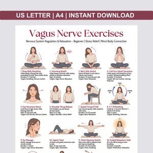 May include: A guide to "Vagus Nerve Exercises" for relaxation and stress relief, featuring illustrated instructions. The diagram details exercises like deep belly breathing, humming, and neck stretches, promoting mind-body connection and nervous system regulation.