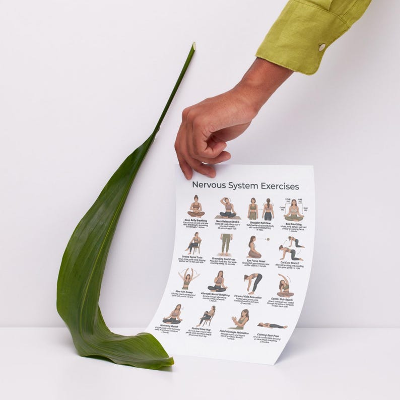 Puede incluir: Un p&oacute;ster blanco titulado "Ejercicios del sistema nervioso" con ilustraciones de varias posturas de yoga. Tambi&eacute;n se ven una gran hoja verde y una mano que sostiene el p&oacute;ster. El p&oacute;ster est&aacute; sobre un fondo blanco.