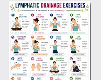 Ejercicios para estimular el flujo linfático (PDF imprimible), 16 ejercicios de movimiento suave, diagrama de circulación corporal completa, rutina de drenaje linfático, alivio del edema.