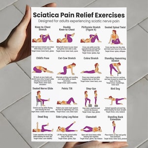 May include: A white poster with the title "Sciatica Pain Relief Exercises" and illustrations of various stretches. The exercises are designed for adults experiencing sciatic nerve pain. The poster includes instructions for each exercise.