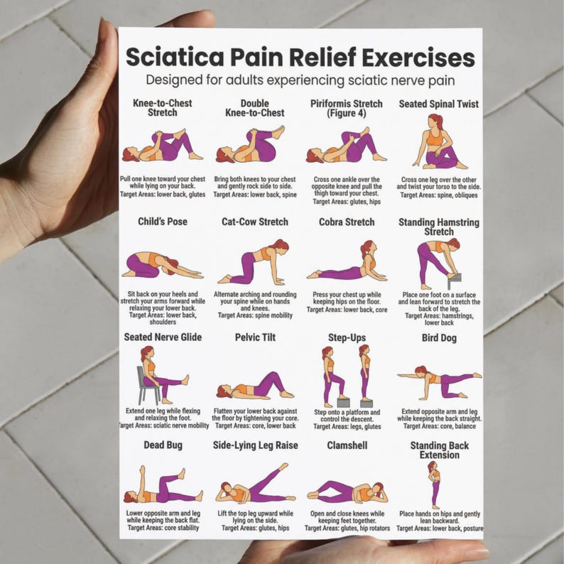 May include: A white poster with the title "Sciatica Pain Relief Exercises" and illustrations of various stretches. The exercises are designed for adults experiencing sciatic nerve pain. The poster includes instructions for each exercise.