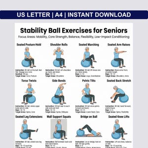 May include: A printable exercise guide titled "Stability Ball Exercises for Seniors." The guide features illustrations of various exercises, including seated posture hold, shoulder rolls, and seated marching, designed for mobility, core strength, and balance.