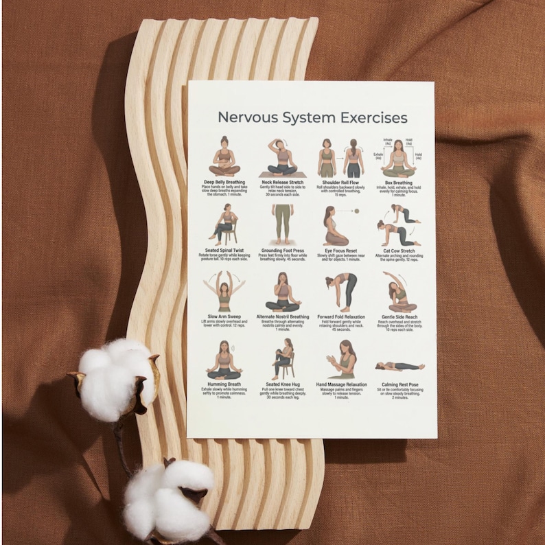 Puede incluir: Un p&oacute;ster blanco titulado "Ejercicios del sistema nervioso" muestra ilustraciones de posturas de yoga. El p&oacute;ster est&aacute; apoyado contra una pieza decorativa de madera clara, con tallos de algod&oacute;n en primer plano. El fondo es una tela marr&oacute;n.