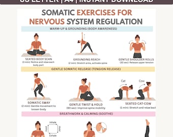 Somatic Exercises For Nervous System Regulation, Nerve Poster Vagus , Exercise ADHD , 30 Day Workout,  Workout Exercises, Exercises Home