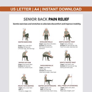 May include: A printable guide titled "SENIOR BACK PAIN RELIEF" with exercise illustrations. The guide includes exercises like seated marching, shoulder rolls, and seated twists, with instructions and target areas. The top banner reads "US LETTER | A4 | INSTANT DOWNLOAD".