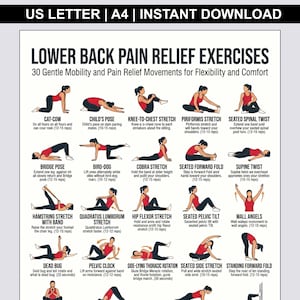 May include: A white informational poster titled Lower Back Pain Relief Exercises featuring 30 illustrations of a person in a red top and black leggings performing various stretches and mobility movements with descriptive text for each exercise.