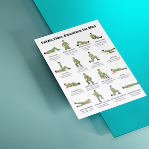 May include: A white poster titled "Pelvic Floor Exercises for Men" with illustrations of various exercises. The exercises include pelvic tilts, kegel squeezes, bridge exercise, knee to chest, leg lifts, squats, lunges, bird dog, clamshells, seated marches, ball squeeze, plank, side leg raises, standing leg lifts, hip flexor stretch, and relaxation pose.