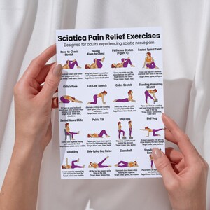 May include: A white paper with the title "Sciatica Pain Relief Exercises" and illustrations of various stretches. The exercises are designed for adults experiencing sciatic nerve pain. The paper is held by a person.