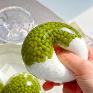 May include: A close-up of a unique dessert. A white and green donut-shaped treat is filled with small green beans. The dessert is held in a person's hand. A clear glass and a round dessert are in the background.