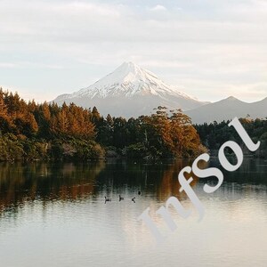 May include: A serene landscape featuring a calm lake reflecting the surrounding trees and a snow-capped mountain in the distance. Several ducks are swimming on the water. The sky is a soft, muted color.