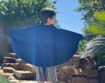 Tampa Bay Rays Cape - Handmade