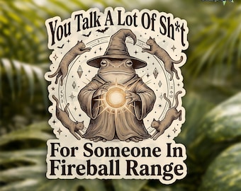 You Talk A Lot Of Shit For Someone In Sticker, Funny Frog Witch Sarcastic Quotes Laptop Water Bottle Stickers Gift Him, Her