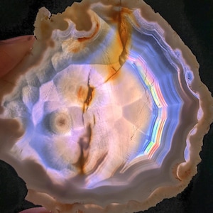 Peut inclure: Une tranche polie d'agate, présentant des bandes concentriques de couleurs. La pierre affiche des bleus, des oranges et des blancs, avec un effet arc-en-ciel au centre. Les motifs naturels créent un objet décoratif unique.