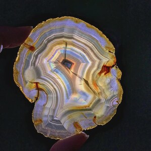 May include: A cross-section of a polished agate stone, showcasing concentric bands of color. The stone features hues of purple, gold, white, and brown, with a central dark area. The edges are outlined in gold.