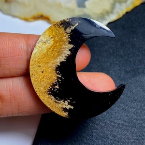 Palmroot Agate Crescent Moon Cabochon 37x33x4mm Natural Palm Root Fossil Stone