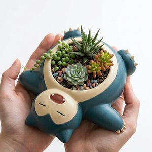 Op de afbeelding: Een blauw en beige Snorlax-vormige plantenbak gevuld met diverse vetplanten en kleine kiezels. De plantenbak wordt in twee handen gehouden tegen een witte achtergrond. De vetplanten zijn een mix van groen en rood-oranje.