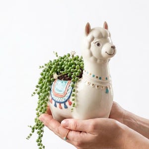 May include: A white ceramic llama plant pot with a colourful saddle design, holding a cascading green plant. The llama has a smiling face and decorative collar. The pot is held by two hands.
