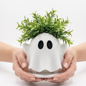 May include: A white ghost-shaped planter with two black oval eyes, holding a vibrant green plant. The planter has a round base and is held by two hands. The plant's leaves are a bright green color, contrasting with the white planter.