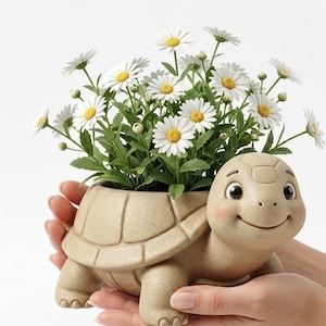 May include: A beige ceramic turtle-shaped planter filled with daisies. The planter has a smiling face and a textured shell design. The daisies have white petals and yellow centers. The planter is held by two hands.