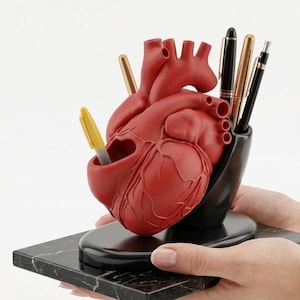 Hjärtformad pennhållare 3D-utskrivbar modell – Anatomisk skrivbordsorganisatör (STL-fil)
