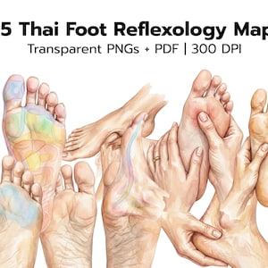 Thai Foot Reflexology Watercolor Map Bundle, Wellness Spa Decor, Massage Art (Digital Download)