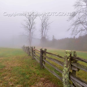 Into The Mist I Blue Ridge Parkway