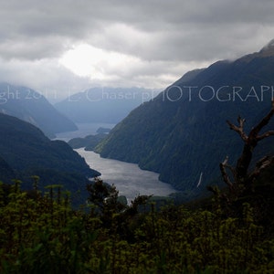 Doubtful Sound, New Zealand