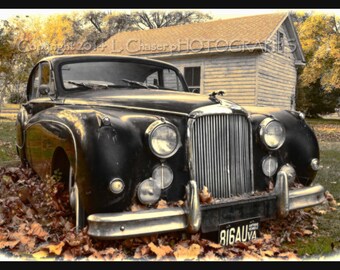 1959 jaguar Mark IV Saloon II