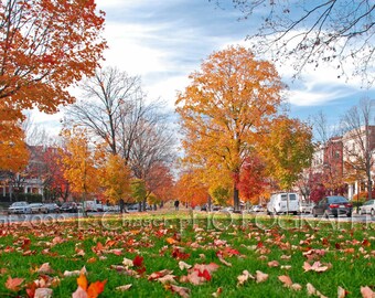 Fall on Monument Avenue, Richmond, Virginia